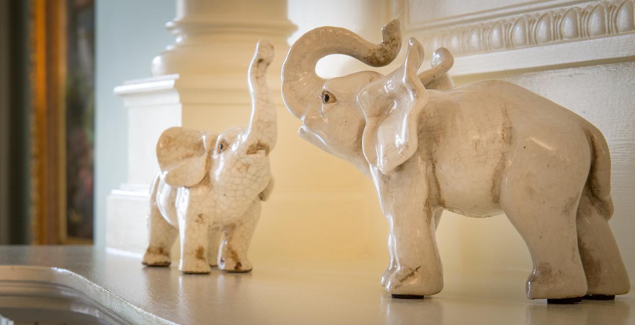 The Chanler At Cliff Walk นิวพอร์ต ภายนอก รูปภาพ